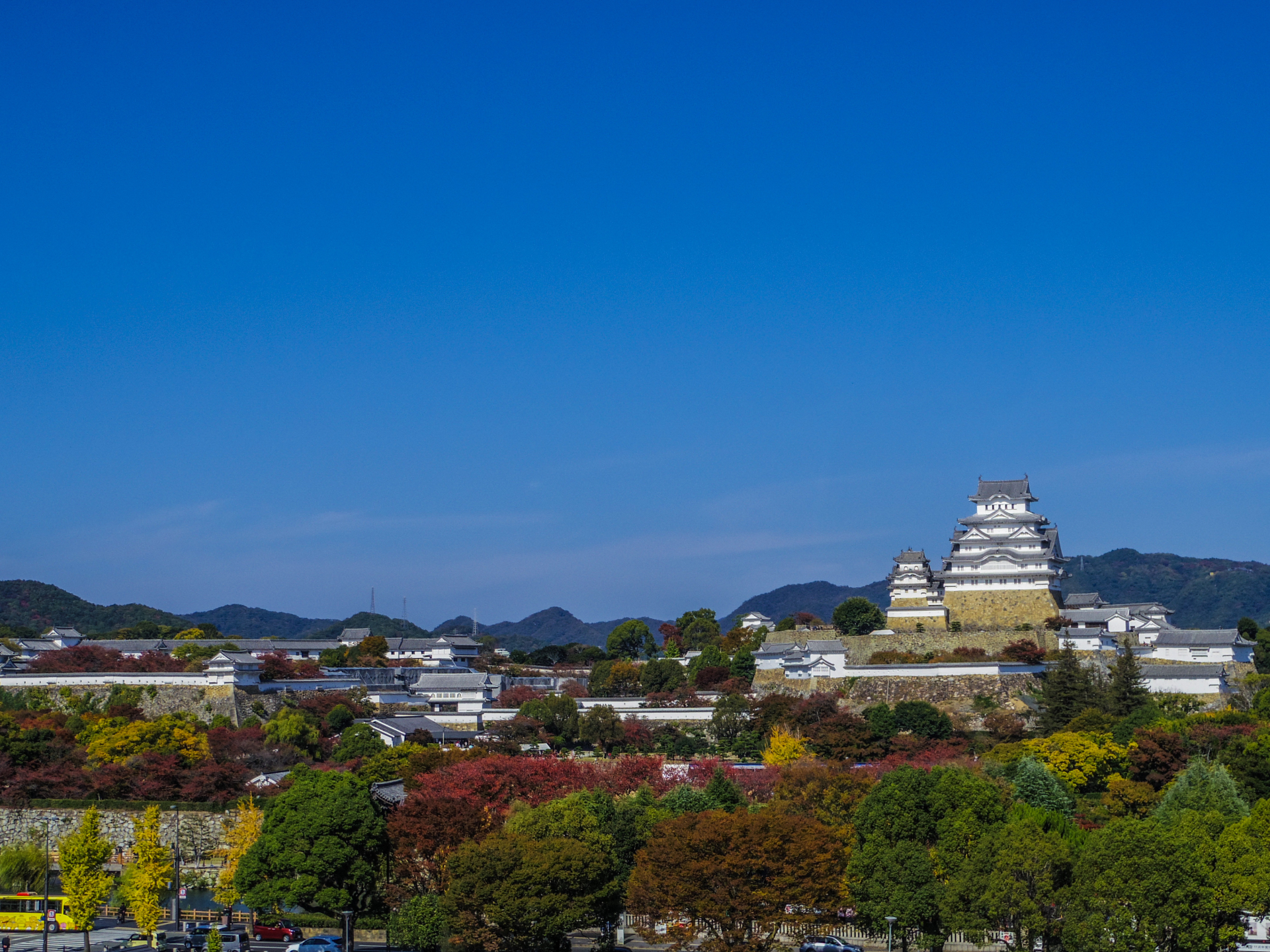 姫路の遺品整理 特殊清掃のプロ AL