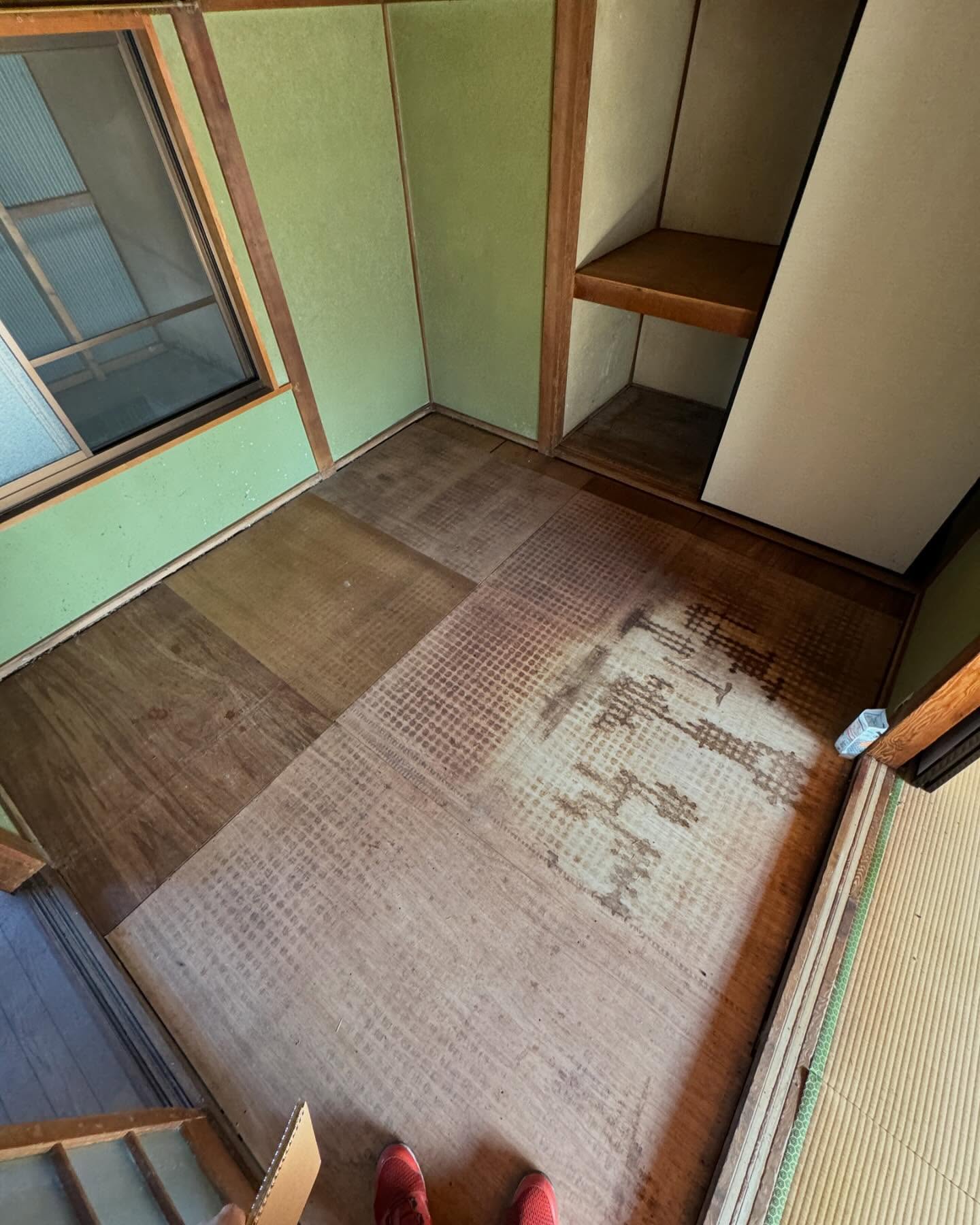 姫路市御着の特殊清掃で体液と死臭を確認した畳下の木部