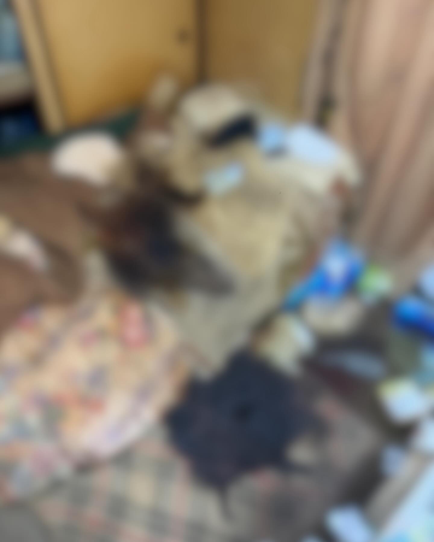 姫路市土山の3DKで行った孤独死現場の遺品整理前