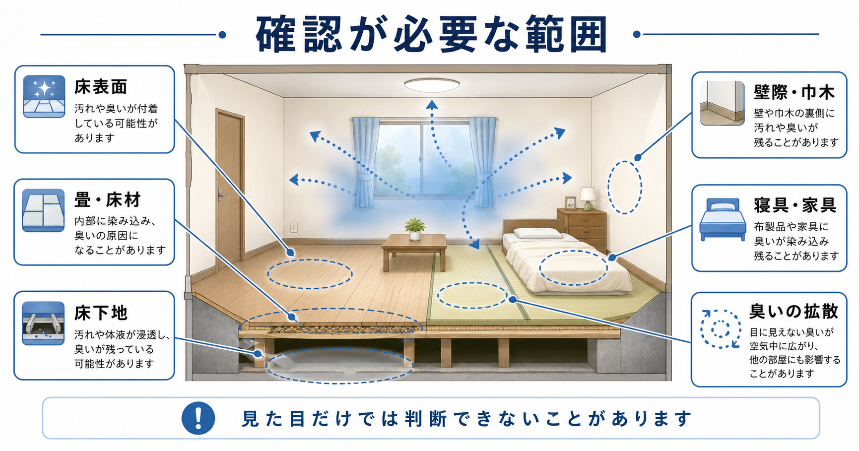 孤独死現場で確認が必要な床表面・畳・床下地・壁際・寝具・家具の範囲