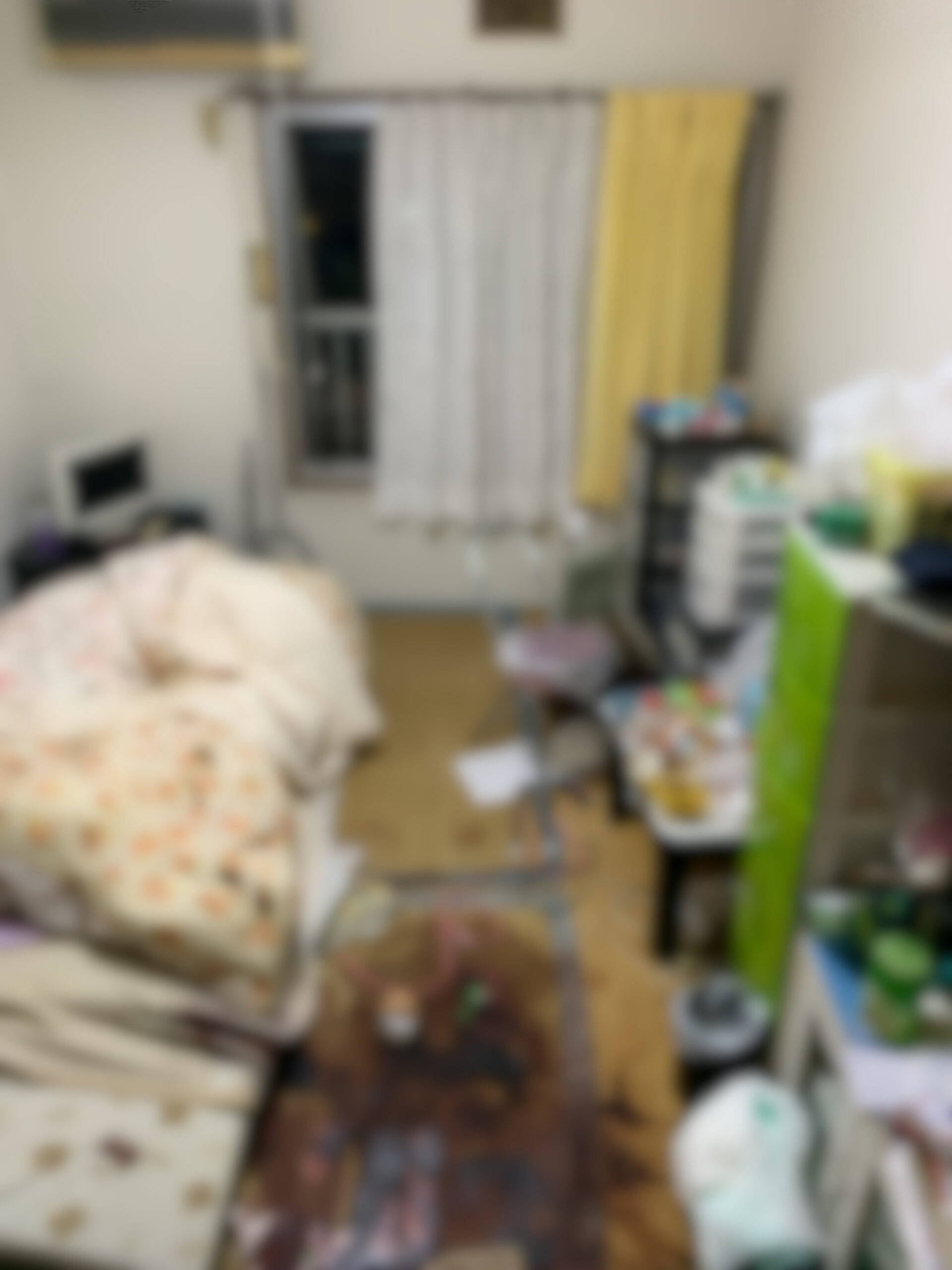 Before 室内