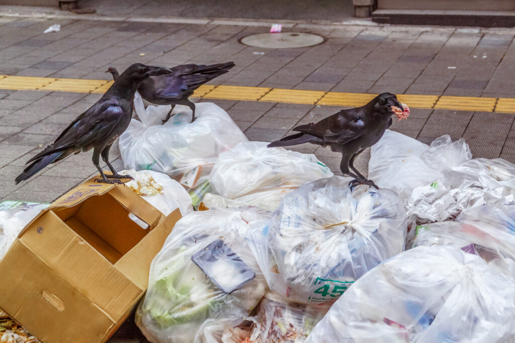 ゴミ屋敷を放置することのリスク