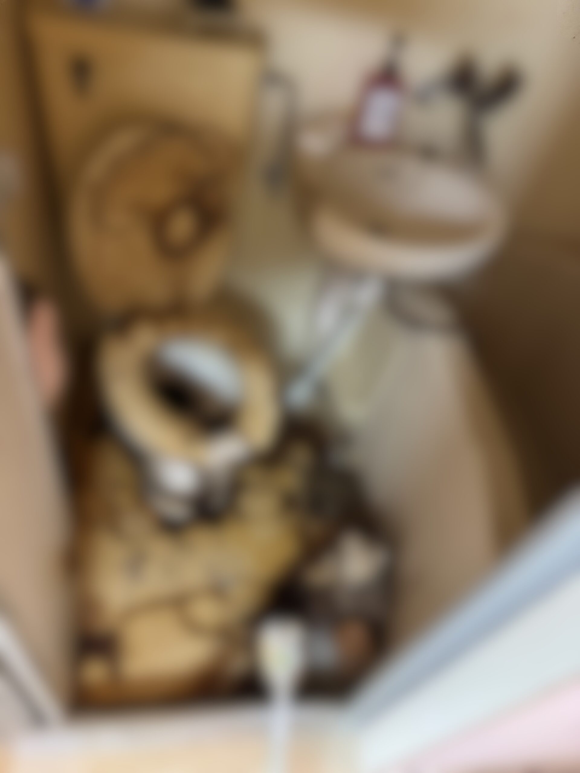 ユニットバス特殊清掃 Before（モザイク加工済み）